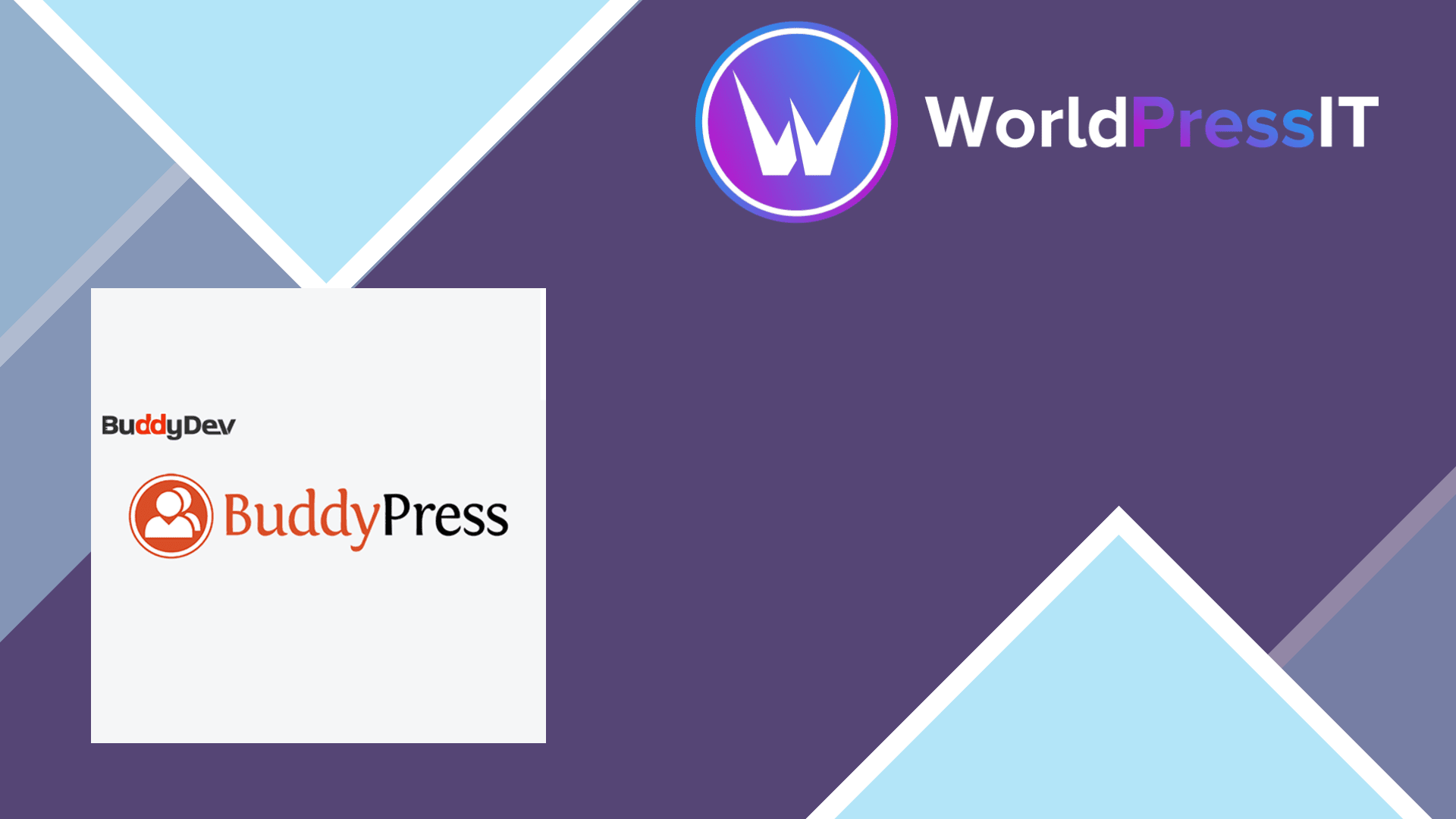 BuddyPress Member Types Pro53158.png