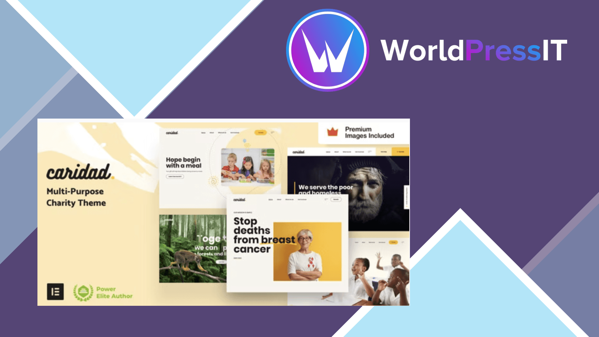 Caridad Charity WordPress Theme433066.png