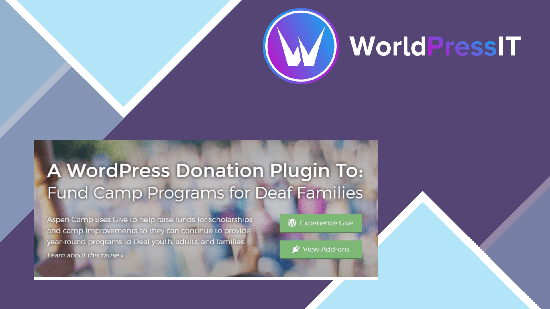 GiveWP Premium438529.png