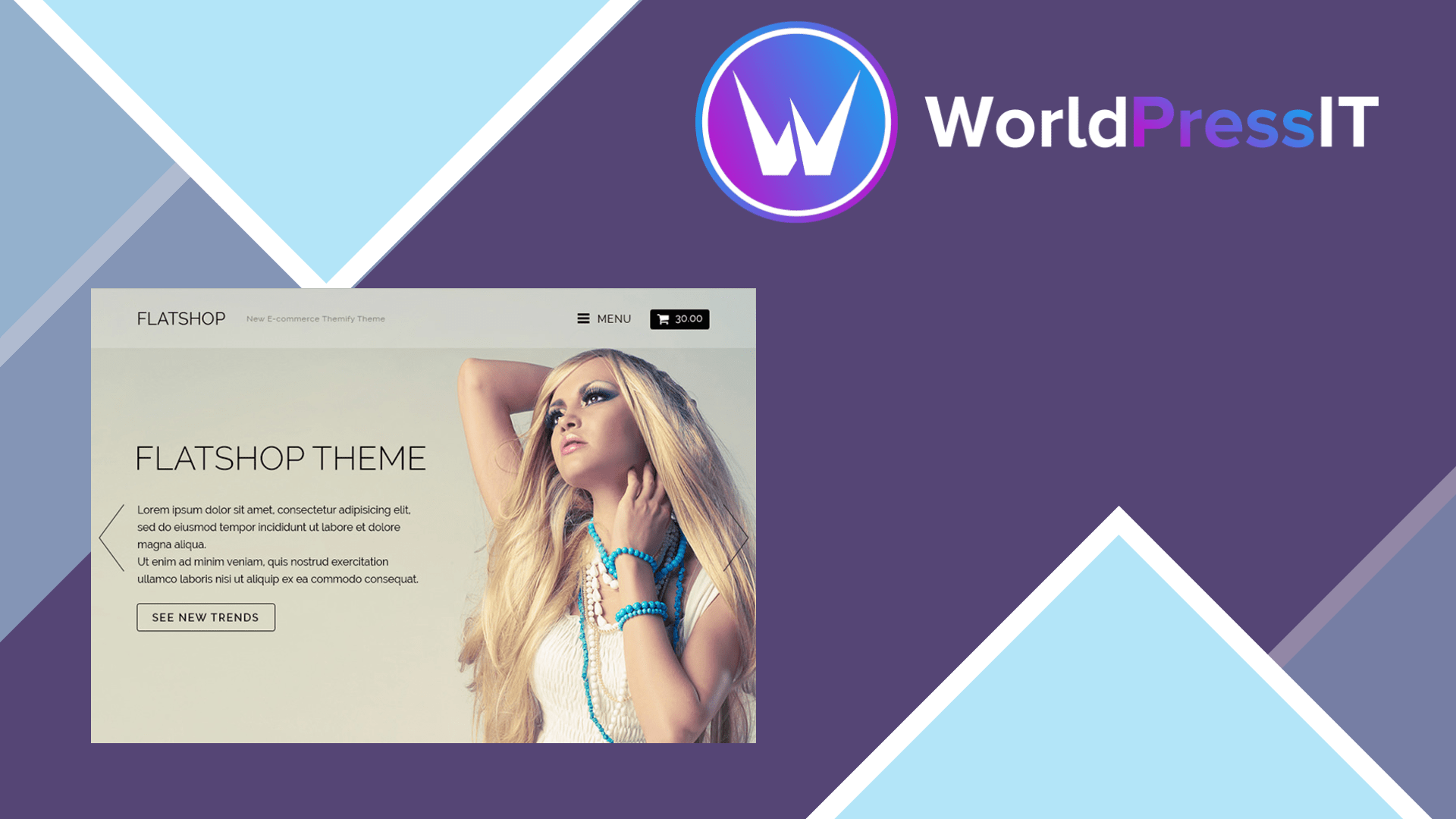 Themify Flatshop WooCommerce Theme107374.png