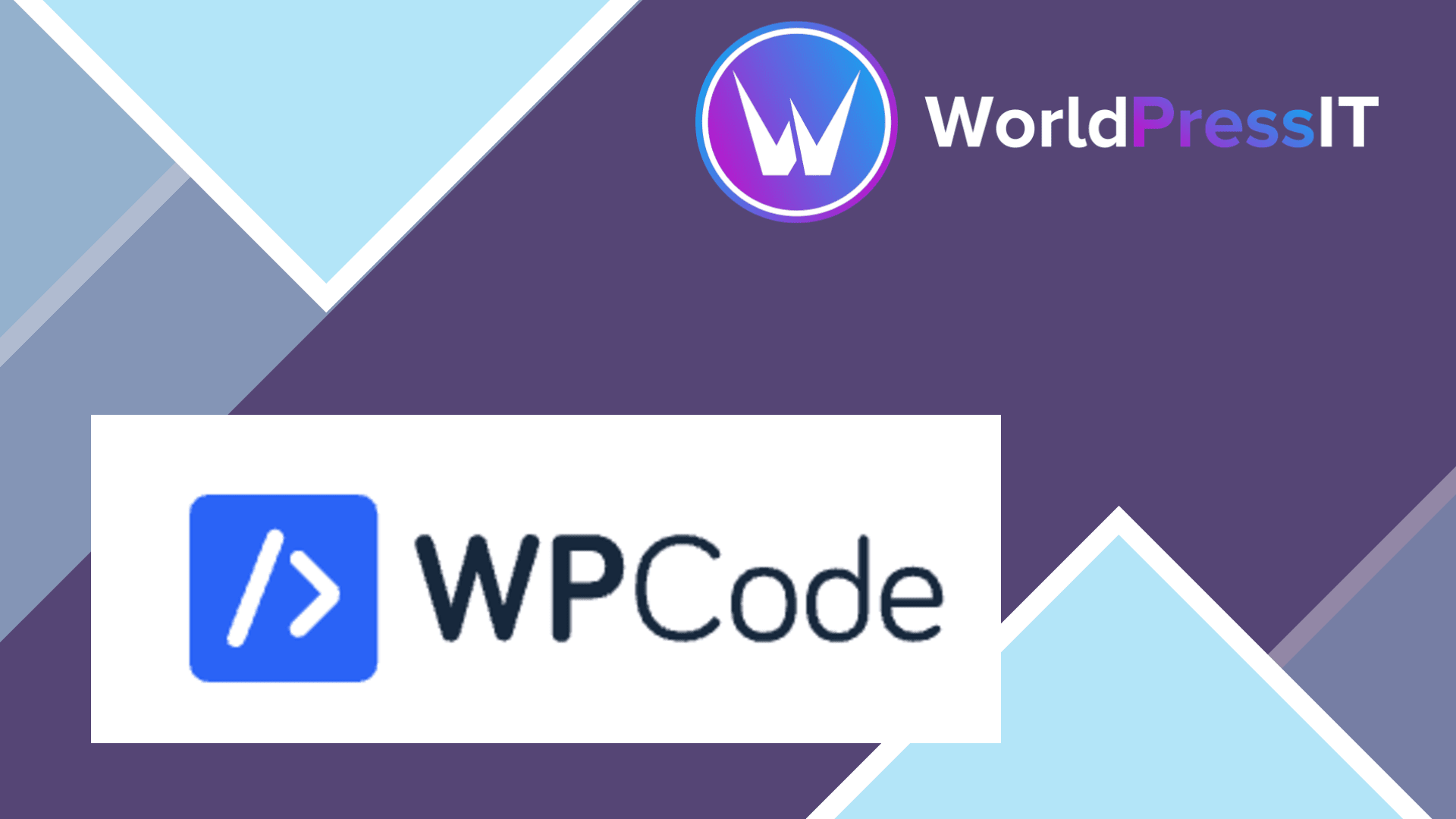 WPCode Pro446668.png